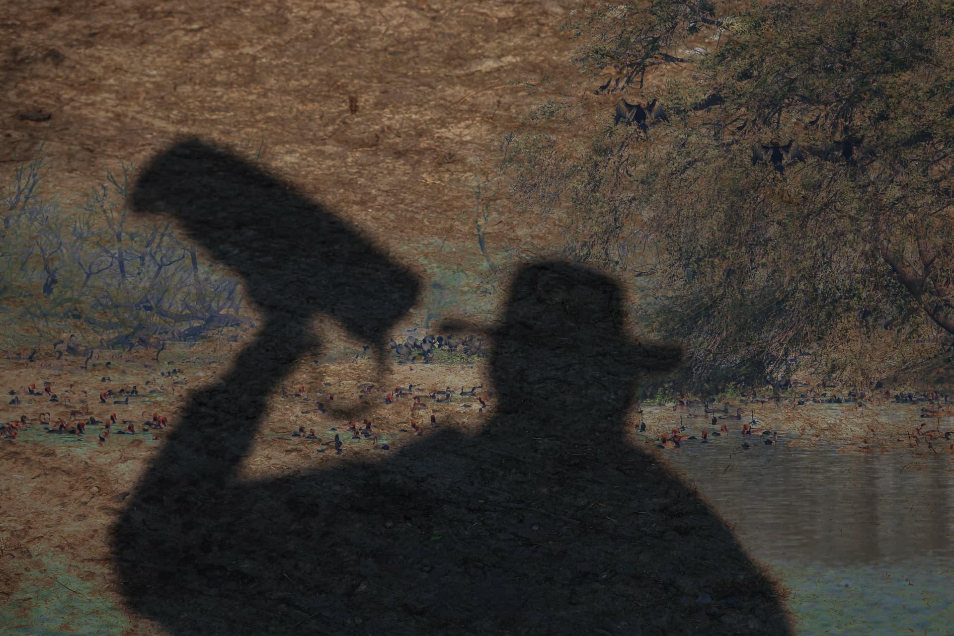 The dark past of Bharatpur